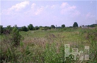 1st image of 1981 Beasley Road