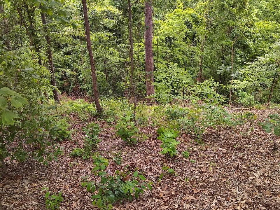 1st image of 2019 Cluster Oak Way #62
