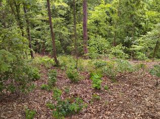 2019 Cluster Oak Way #62, Sevierville, TN 37876