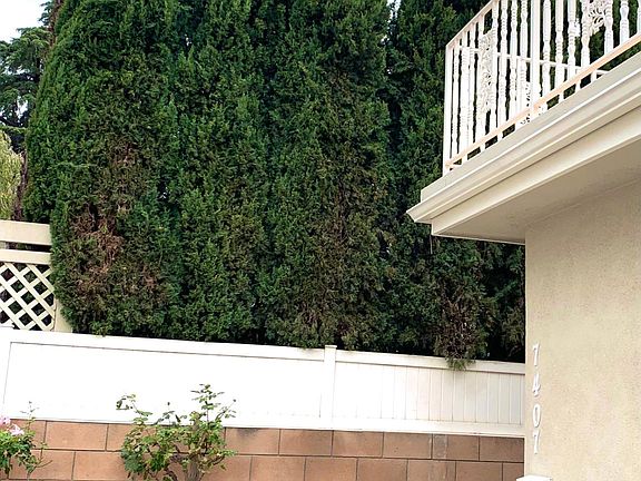 3rd image of 7407 Peach Ave