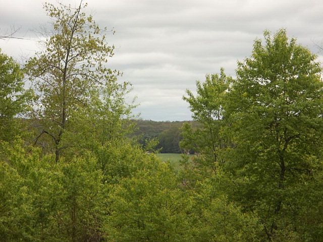 1st image of 0 Pine Dr