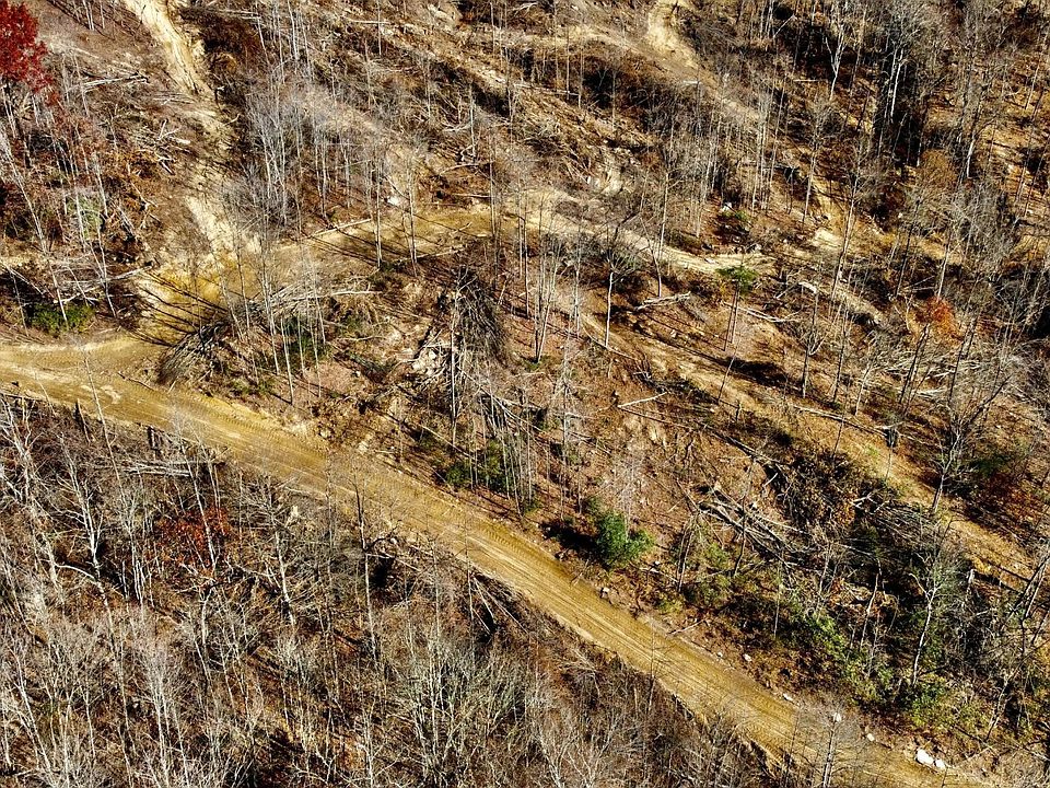 2nd image of 15 Stanley Creek Rd
