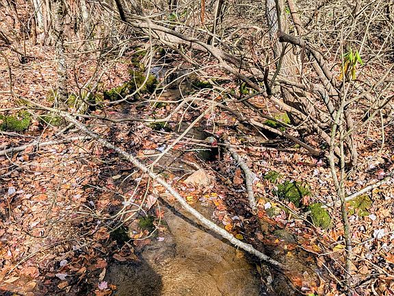 45th image of this home