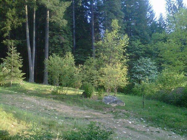 Side yard