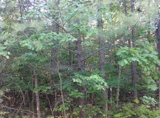 1032 Quail Trl, Indian River, MI 49749