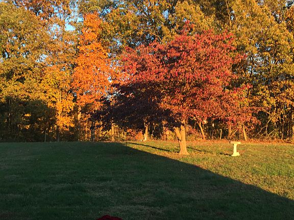 View from back patio