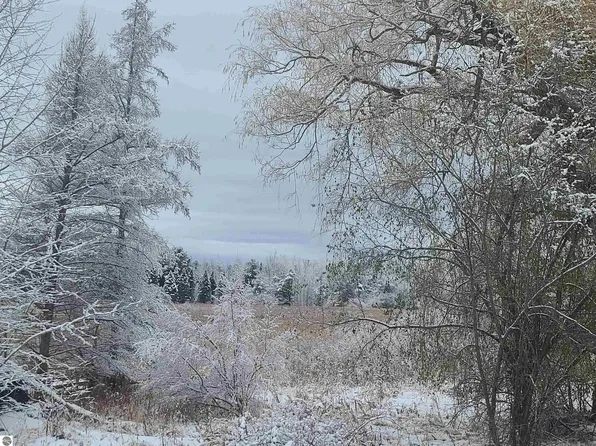 10401 Watson Rd Lot A & B, Williamsburg, MI 49690