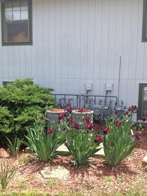 1st image of 804 N Main St APT 1C