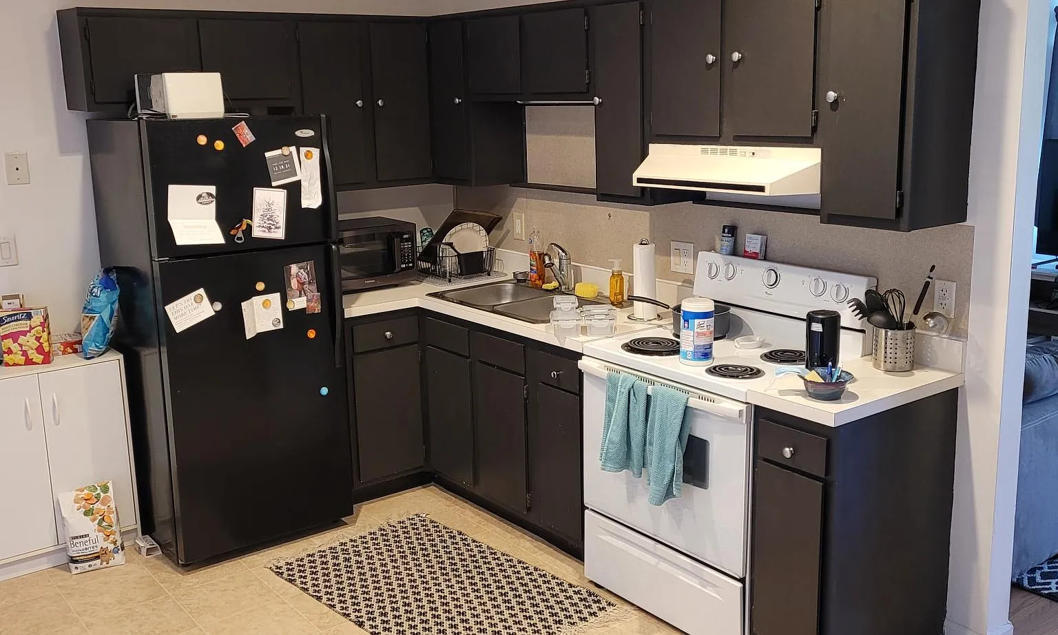 2 bed, 850 sqft, $1,529 — Photo 4