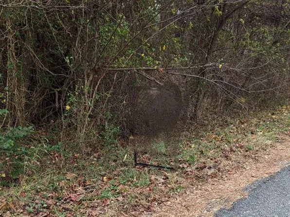 65 American Dr, Montross, VA 22520