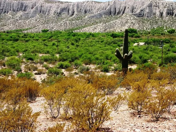 6640 N Cascabel Rd, Benson, AZ 85602