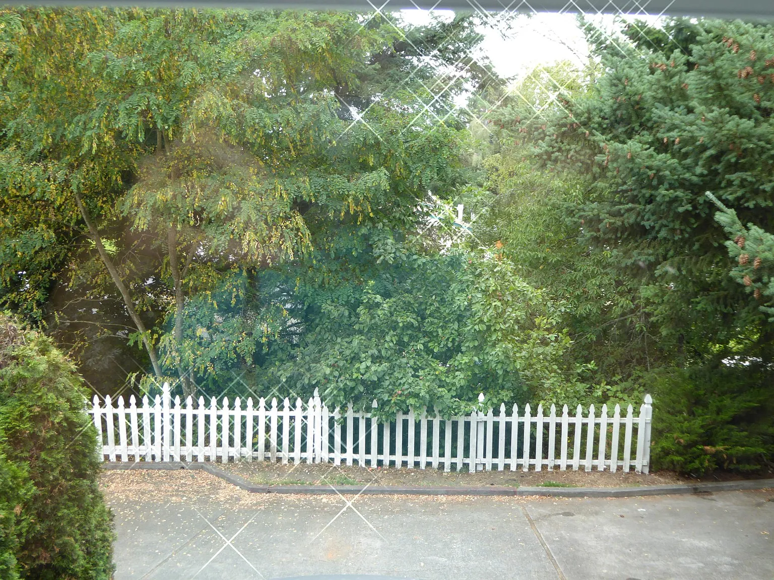 3 bed, 1150 sqft, $2,300 — Photo 2