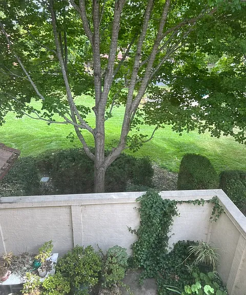 316 Park Place Dr — Photo 16