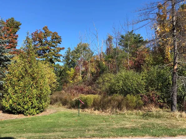 4 Lamoreaux Dr #4, Elk Rapids, MI 49629
