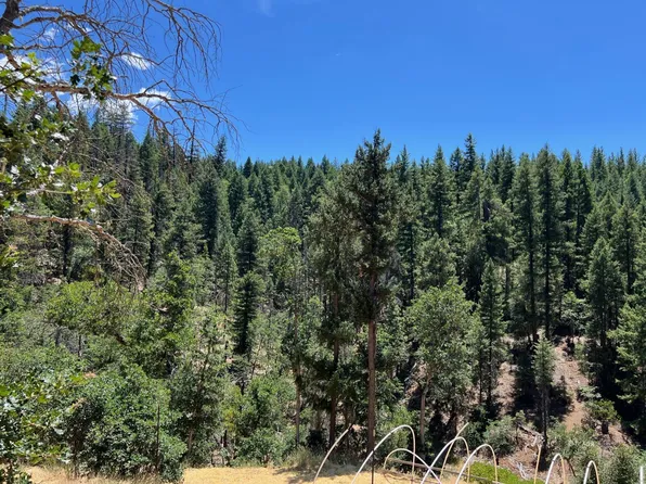 133 Autumn Ct, Hayfork, CA 96041