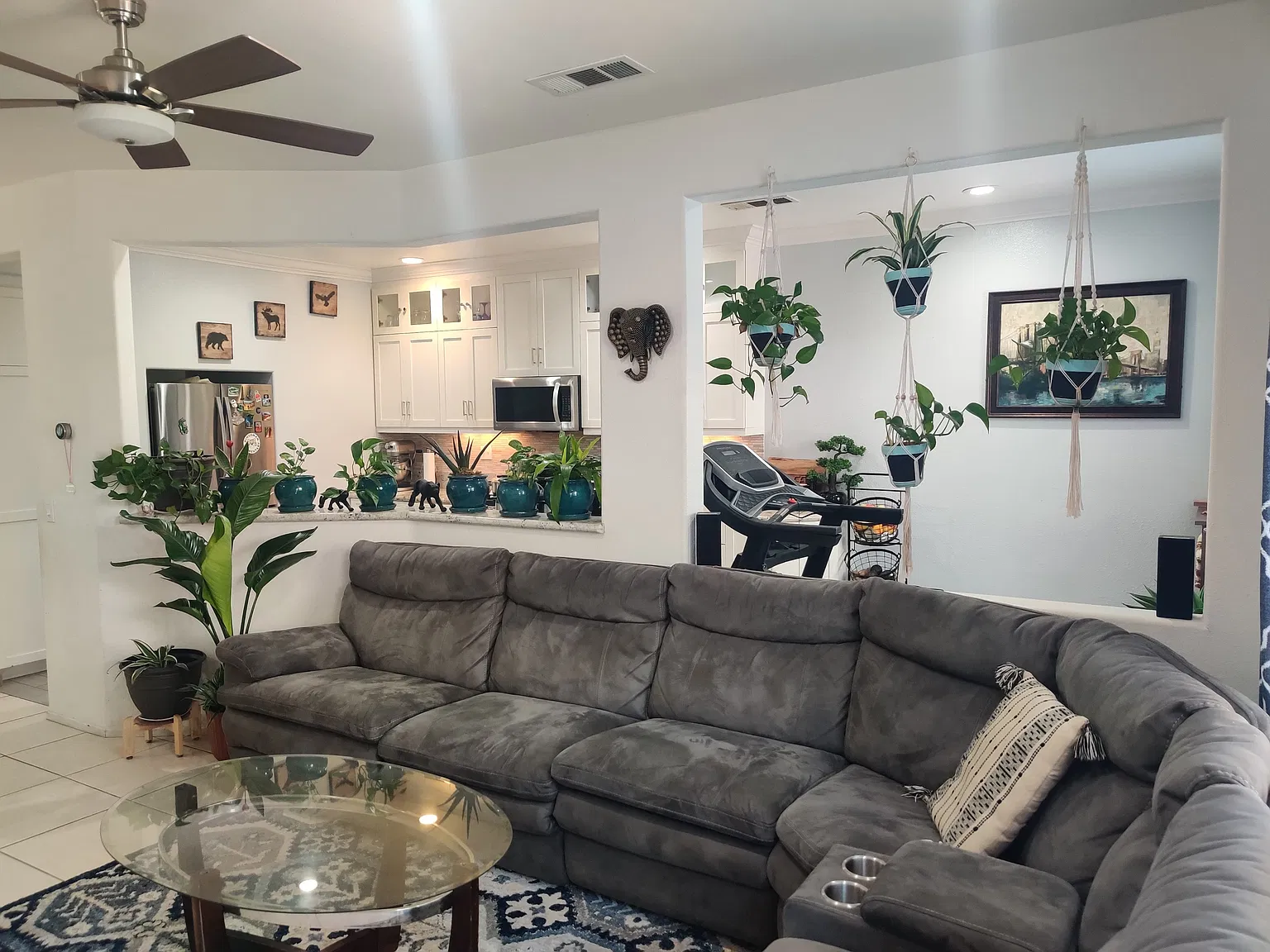10864 Ivy Hill Dr — Photo 3