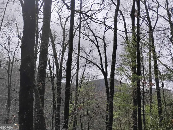 LOT 289 Cobblewood Trl, Dillard, GA 30537