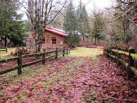 long wooded driveway leads to cabin in the woods
