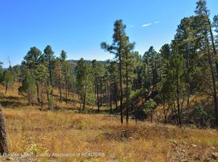 124 Crown Ridge Rd, Alto, NM 88312