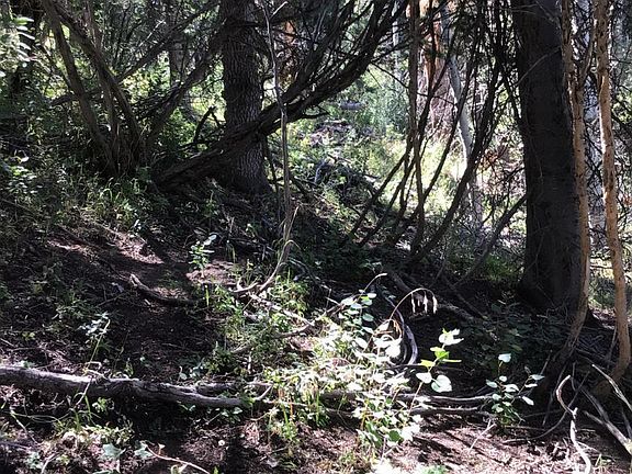 4th image of 741 W Forgotten Ln #Fm-d-96
