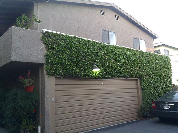 Rear view of front building