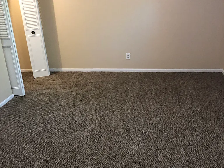 Primary Bedroom and Closet