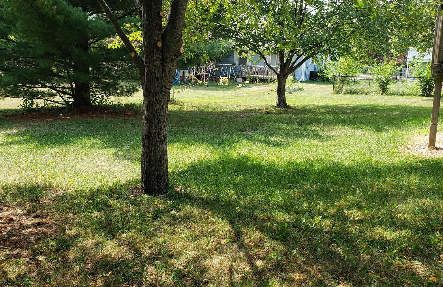214 1/2 Greenwood Ave — Photo 4