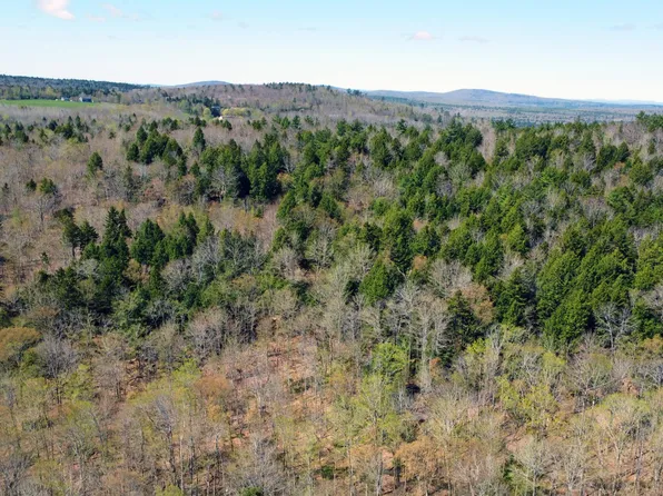 Lot 4 Peakes Hill Road, Dedham, ME 04429