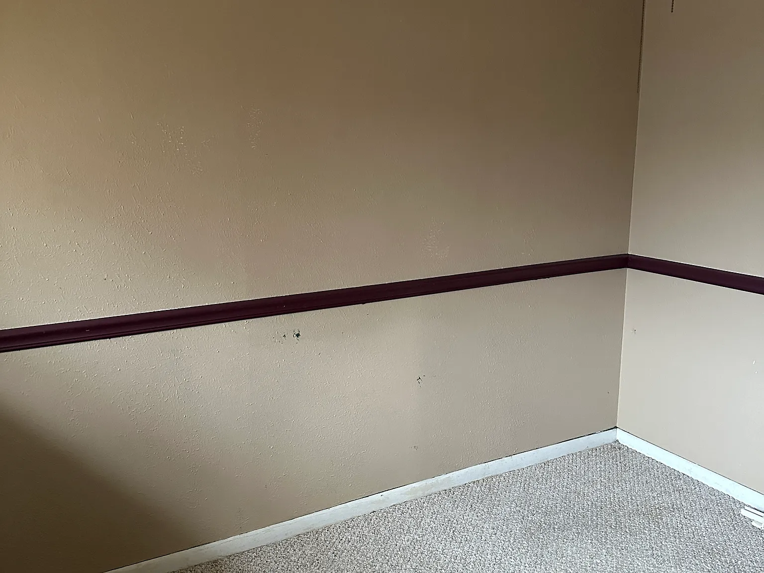 3 bed, 1668 sqft, $950 — Photo 3