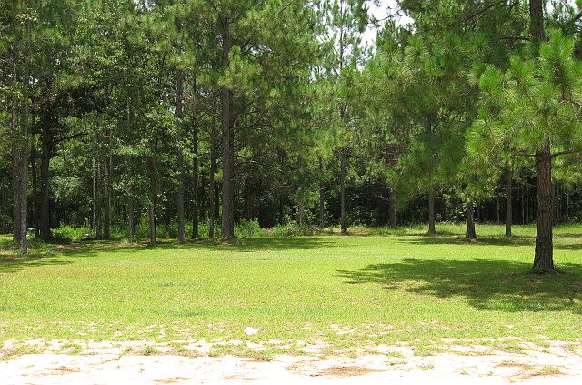 1st image of 2664 Lake Virginia Dr