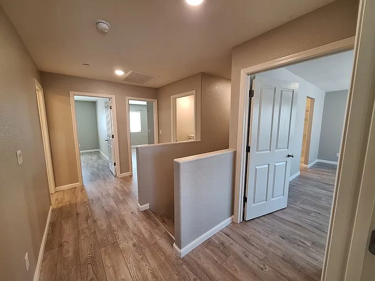 Alboran Sea Cir — Photo 8