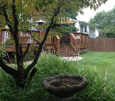 4 bed, 2.5 bath, 2700 sqft, $3,975 — Photo 3