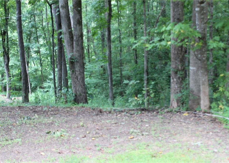 243 Lakeview Ter Dallas GA Zillow