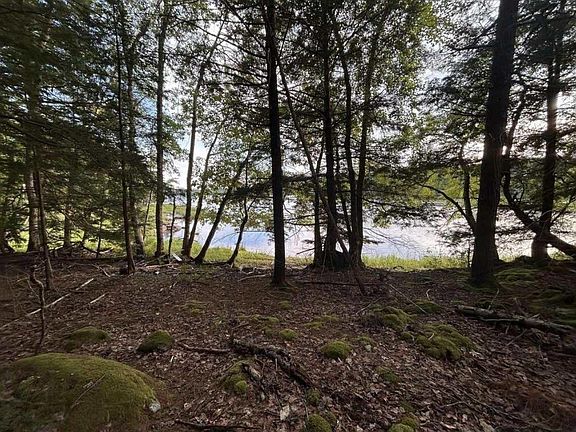 3rd image of 27 Maplesue Point Rd