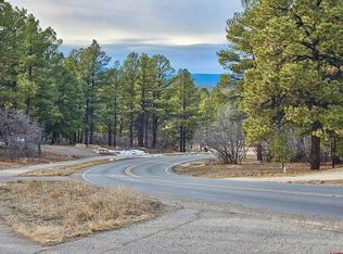 458 Antelope Ave, Pagosa Springs, CO 81147