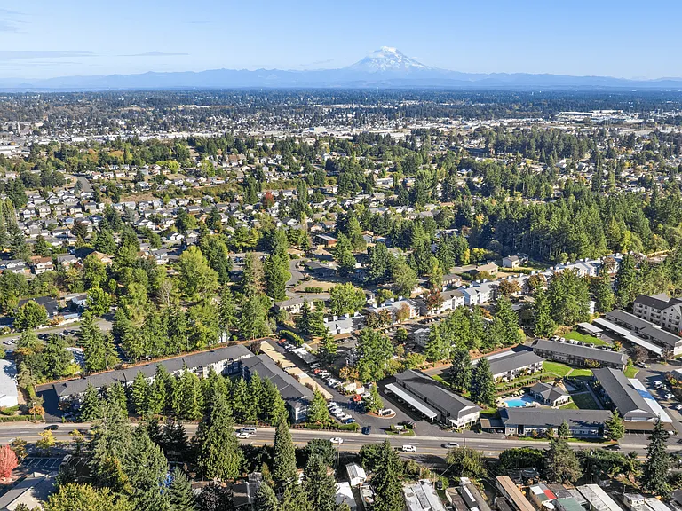 Scenic aerial view with Mount Rainier in the background.