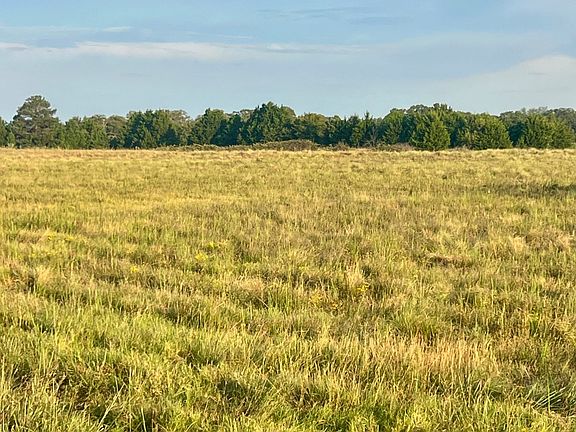 5th image of 1/2 Mary Niblack Rd