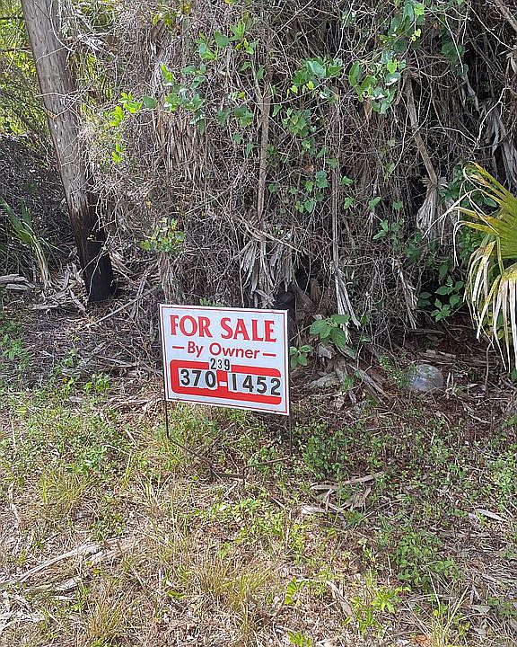 Waterfront lot 