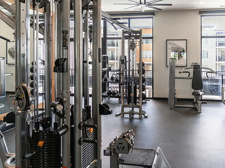Gym 2