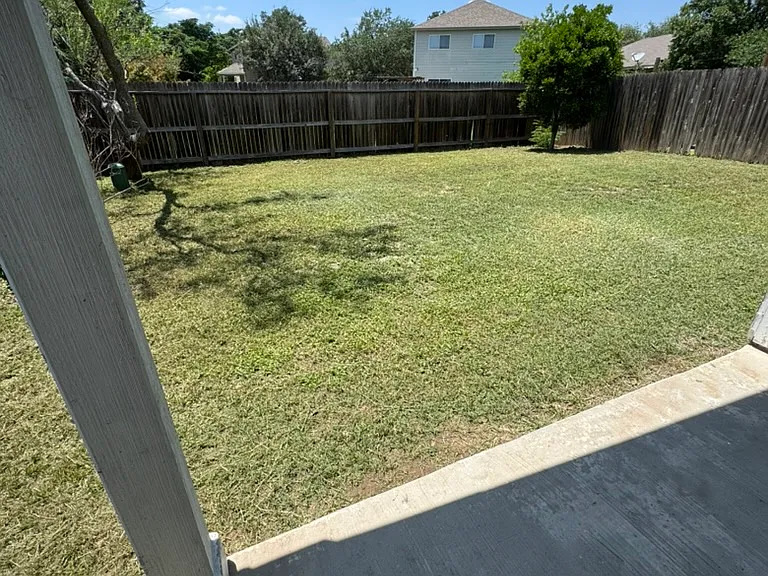 View of the backyard from the patio