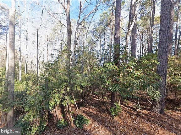 5th image of 0 Lake Rd