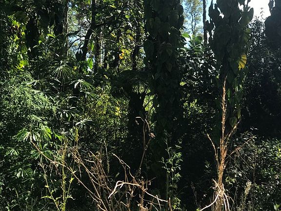 4th image of 16-2115 Hibiscus Dr Lot 53