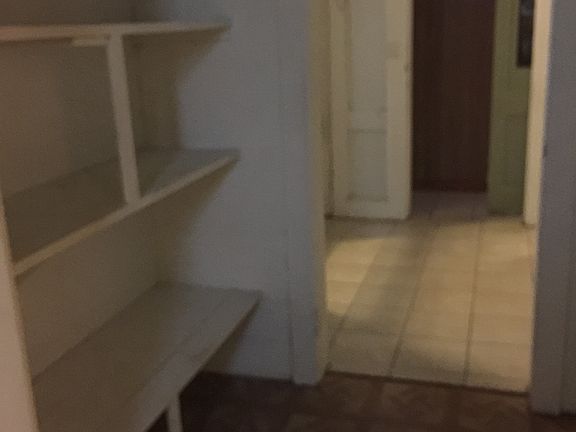 PAntry and LAundry Room