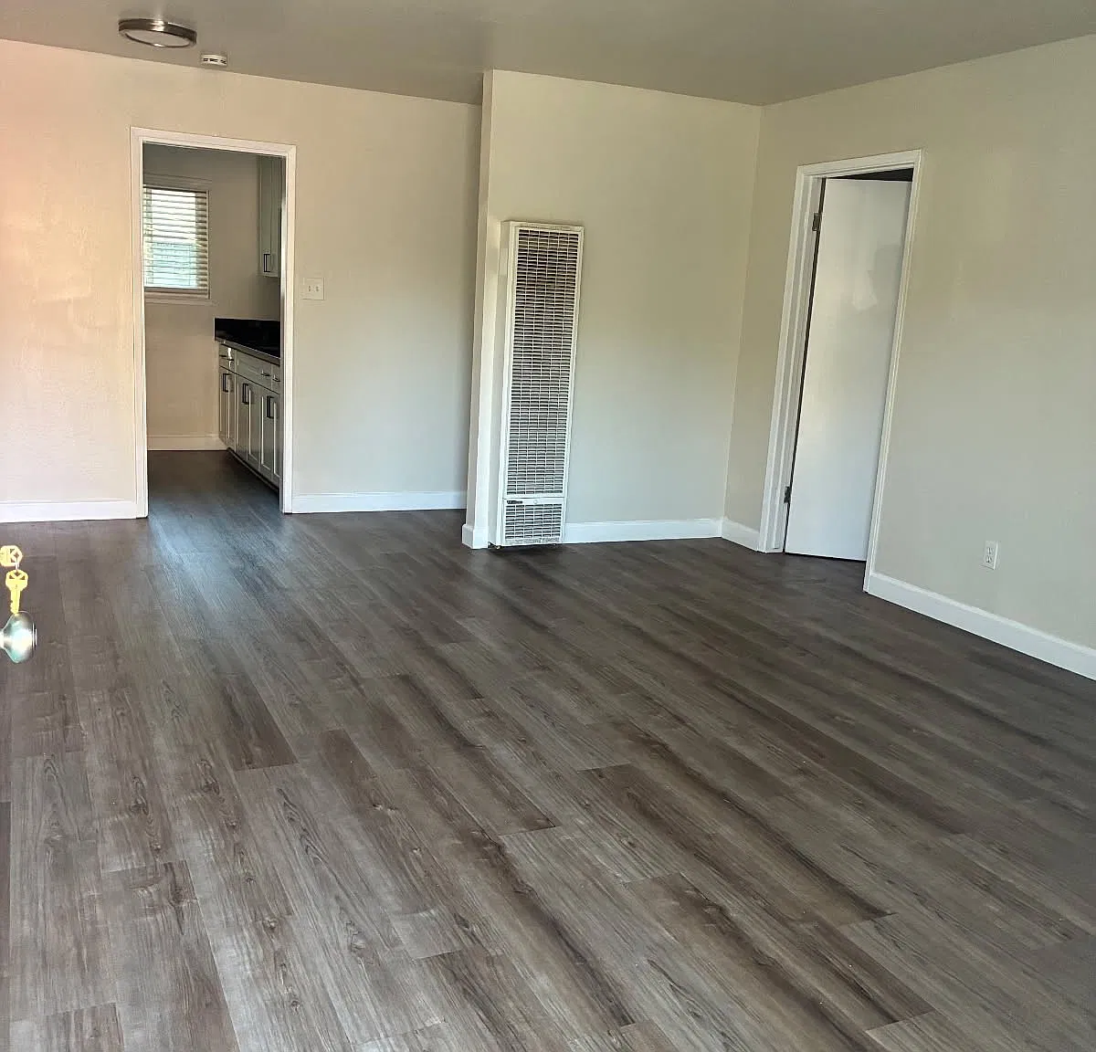 1 bed, 450 sqft, $1,575 — Photo 4