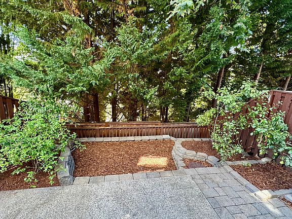 Backyard space