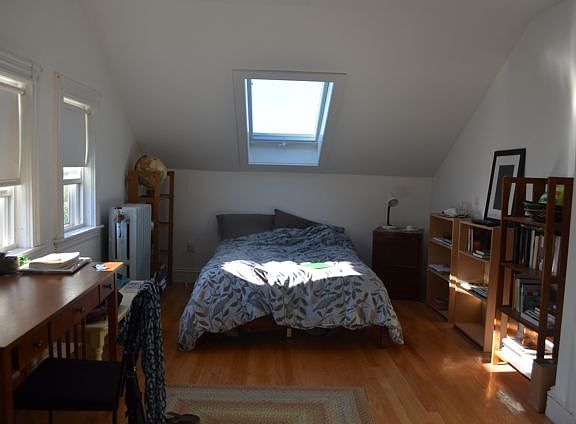 Treetop bedroom with skylight