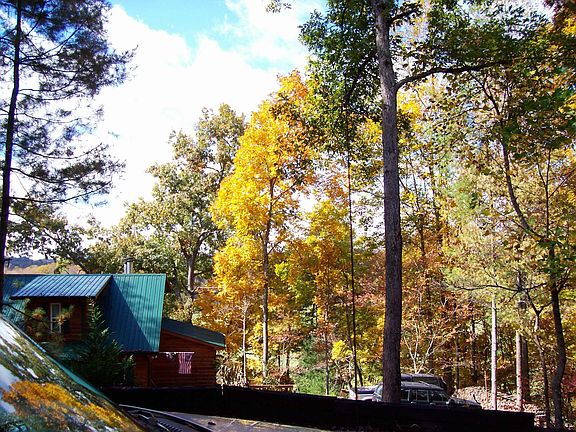 beautiful hardwoods!