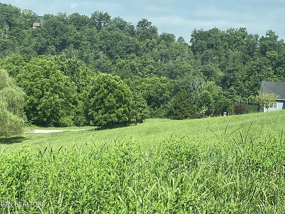 3rd image of 105 Marble Bluff Dr Lot 105