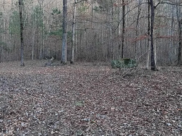 0 Valley Cir #580, Warrior, AL 35180