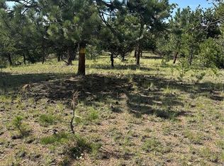 315 Thunder Ridge Rd, Florissant, CO 80816